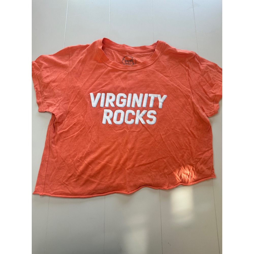 Danny Duncan Virginity Rocks Shirt Womens Large Ironic Gen Z  Crop Graphic Tee